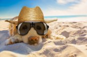 Istockphoto-696001624-612x612